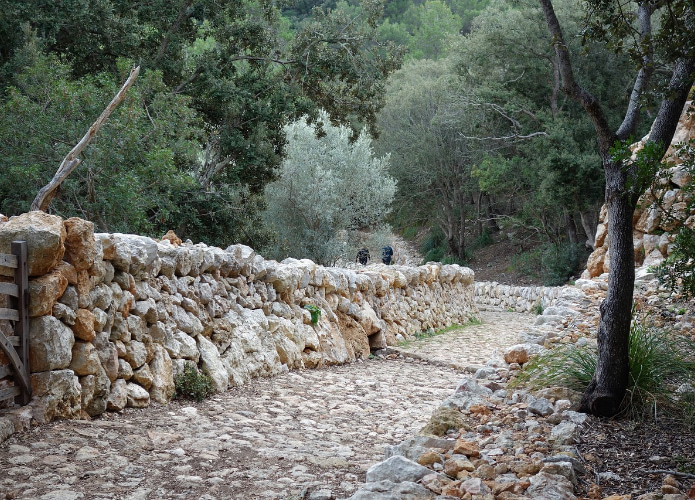 Image of a stone path in the middle of the mountain in Esporles, near Banyalbufar.