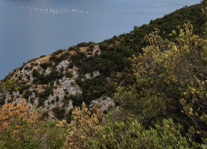 Panoramic view from the Mirador de Ses Ànimes viewpoint in Banyalbufar