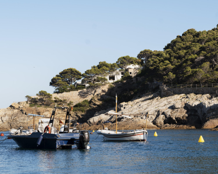 Picture of the beach of Son Bunyola with boats 