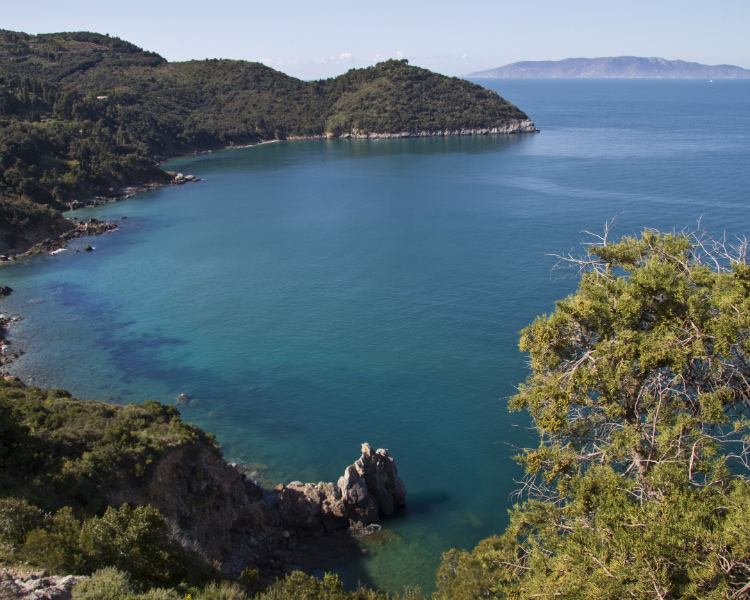 Image of the views of the Mediterranean Sea from Port d'es Canonge